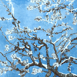 美女放尿着衣失禁
